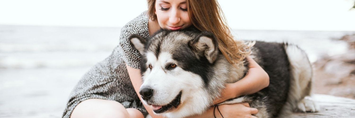Dog getting a hug from woman while outside by the sea