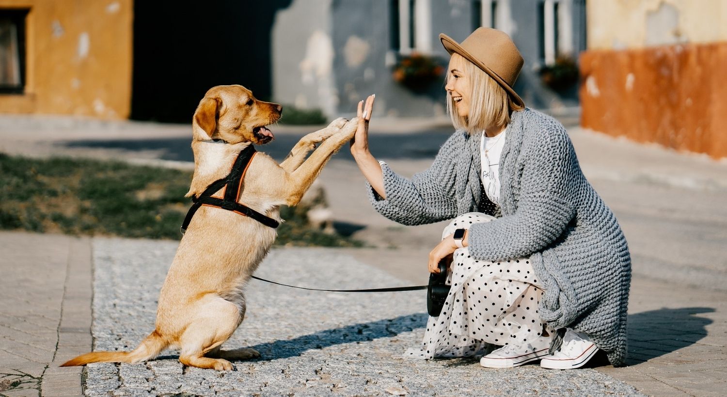 Dog and Woman giving each other high five (or high paw) on the street
