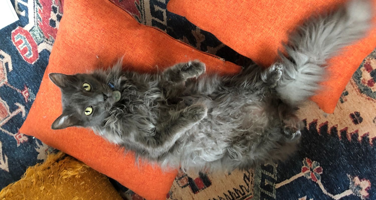 Space Ghost laying on pillows looking right at the camera with his hypnotic eyes