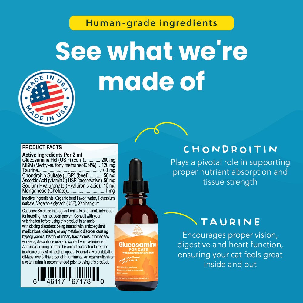 Liquid Glucosamine For Cats
