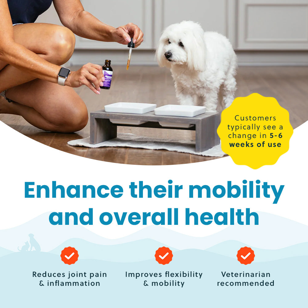 Liquid Glucosamine For Small Dogs