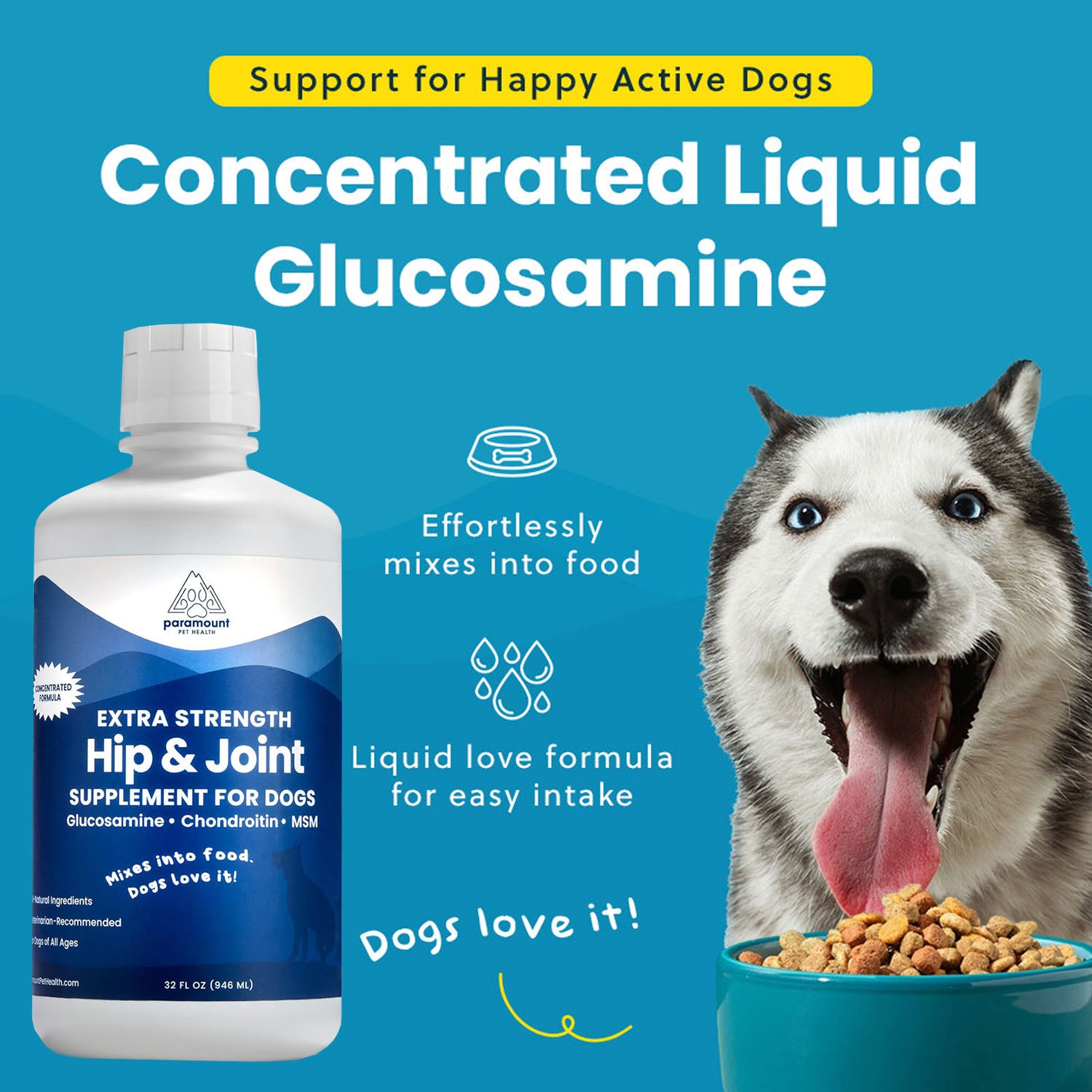Paramount Pet Health Liquid Glucosamine For Large Dogs