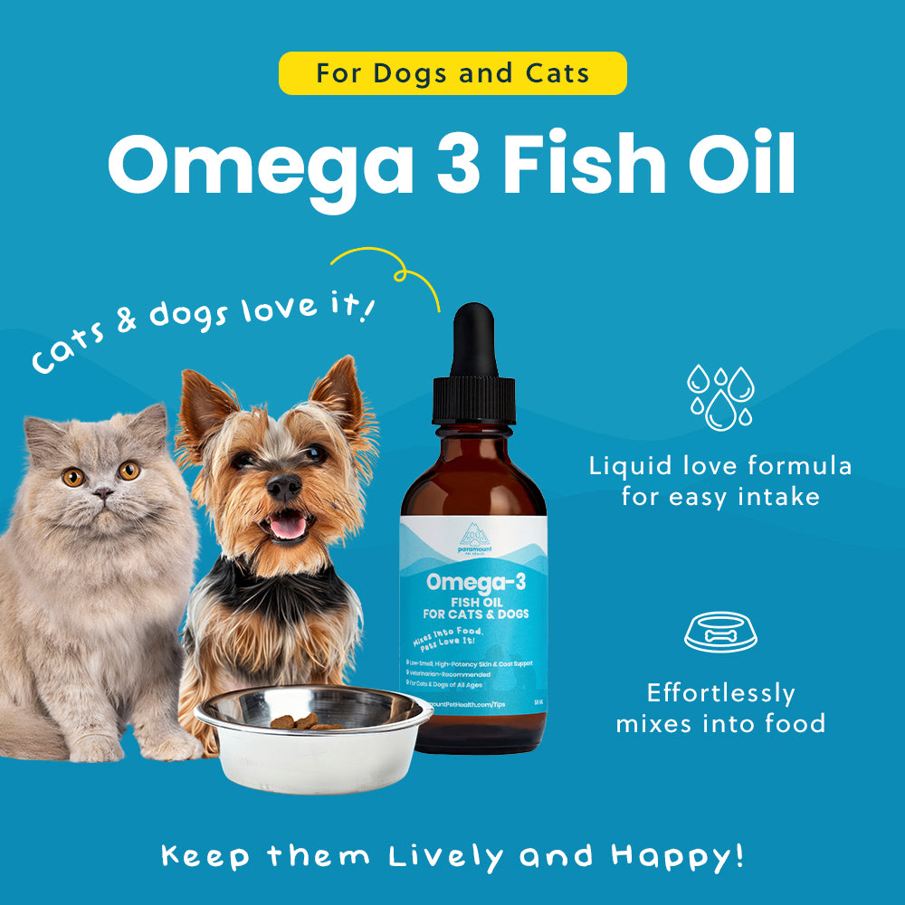 dog fish pol Paramount Pet Health Omega-3 Fish Oil Supplement for Dogs & Cats 16 oz