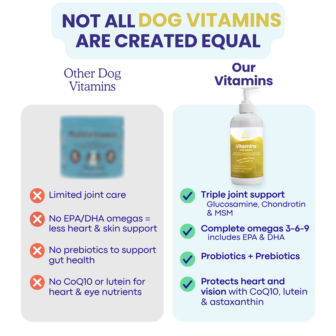 Liquid Vitamins for Dogs