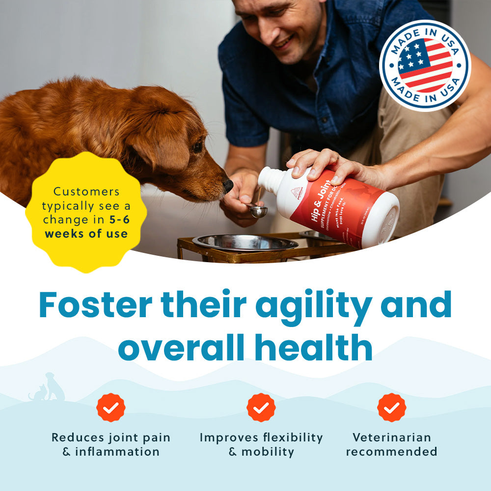 Liquid Glucosamine for Dogs