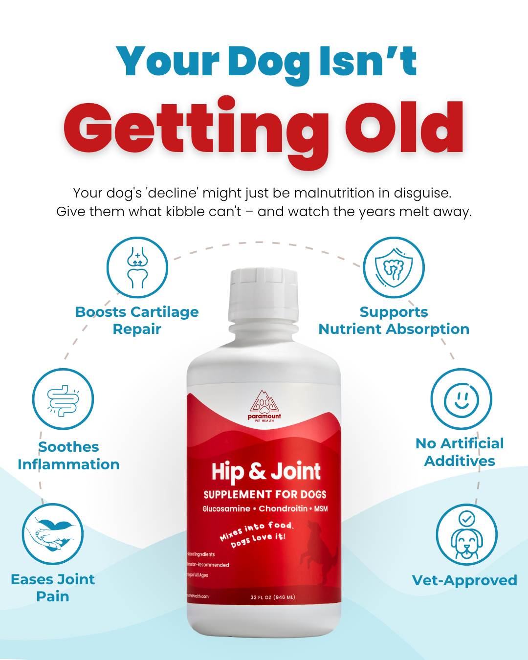 Liquid Glucosamine for Dogs