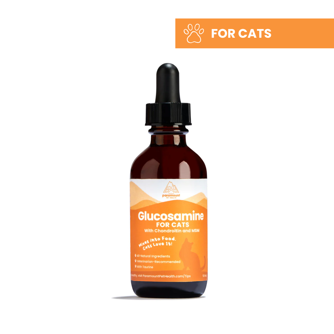 Hip & Joint Liquid Supplement For Cats