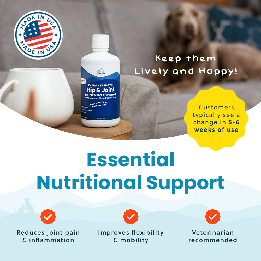 Liquid Glucosamine For Large Dogs