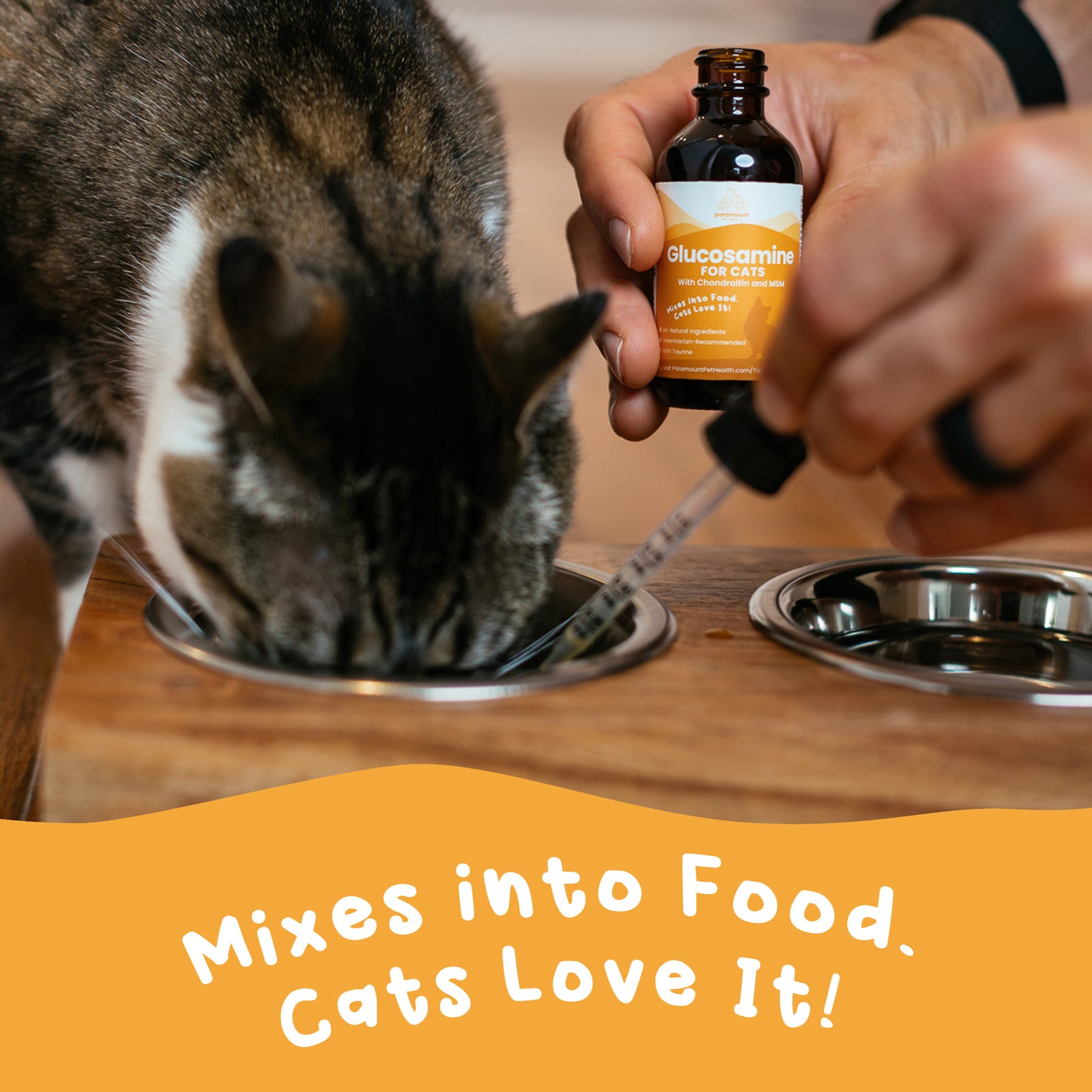 cat glucosamine mixes well into food