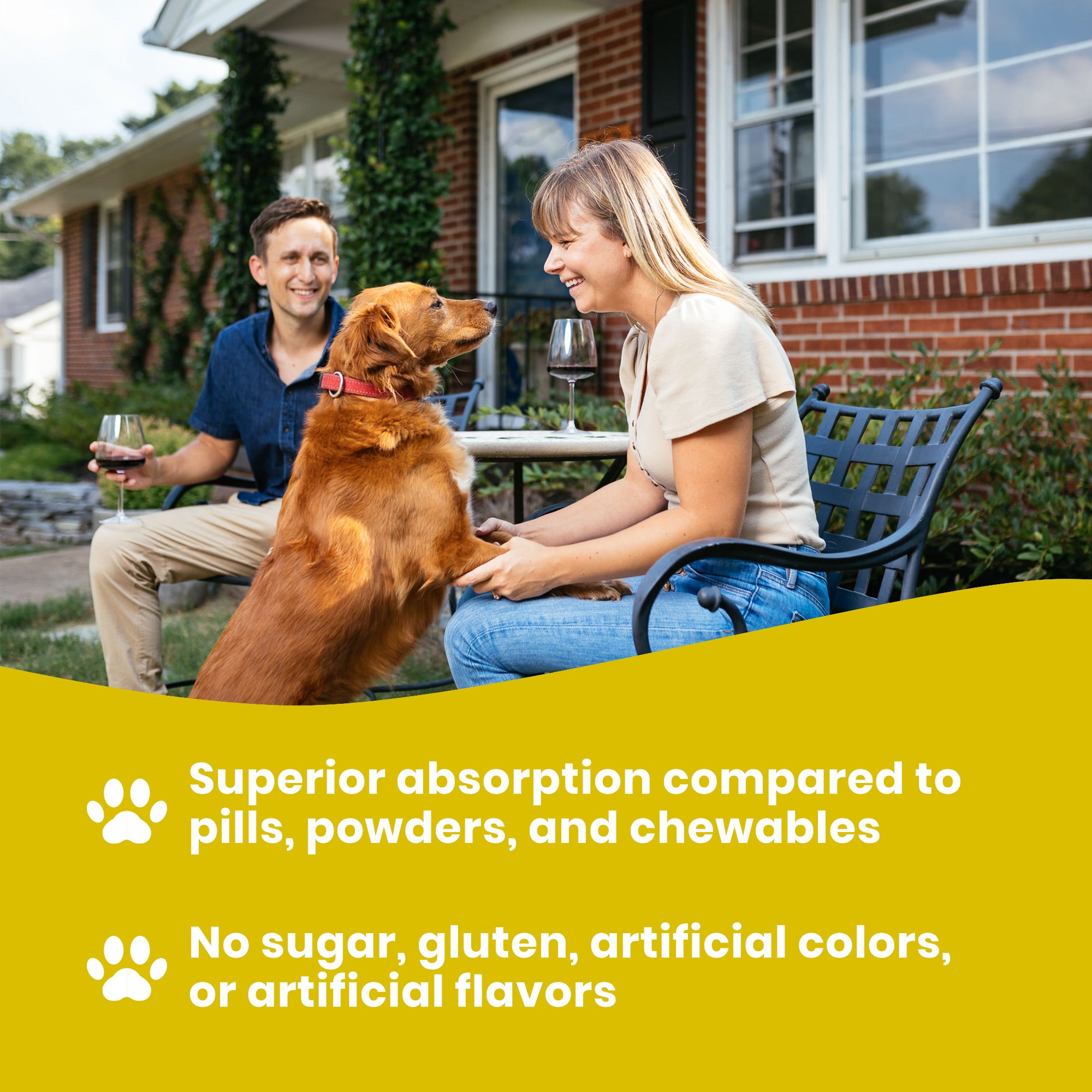 dog vitamins liquid has superior absorbtion