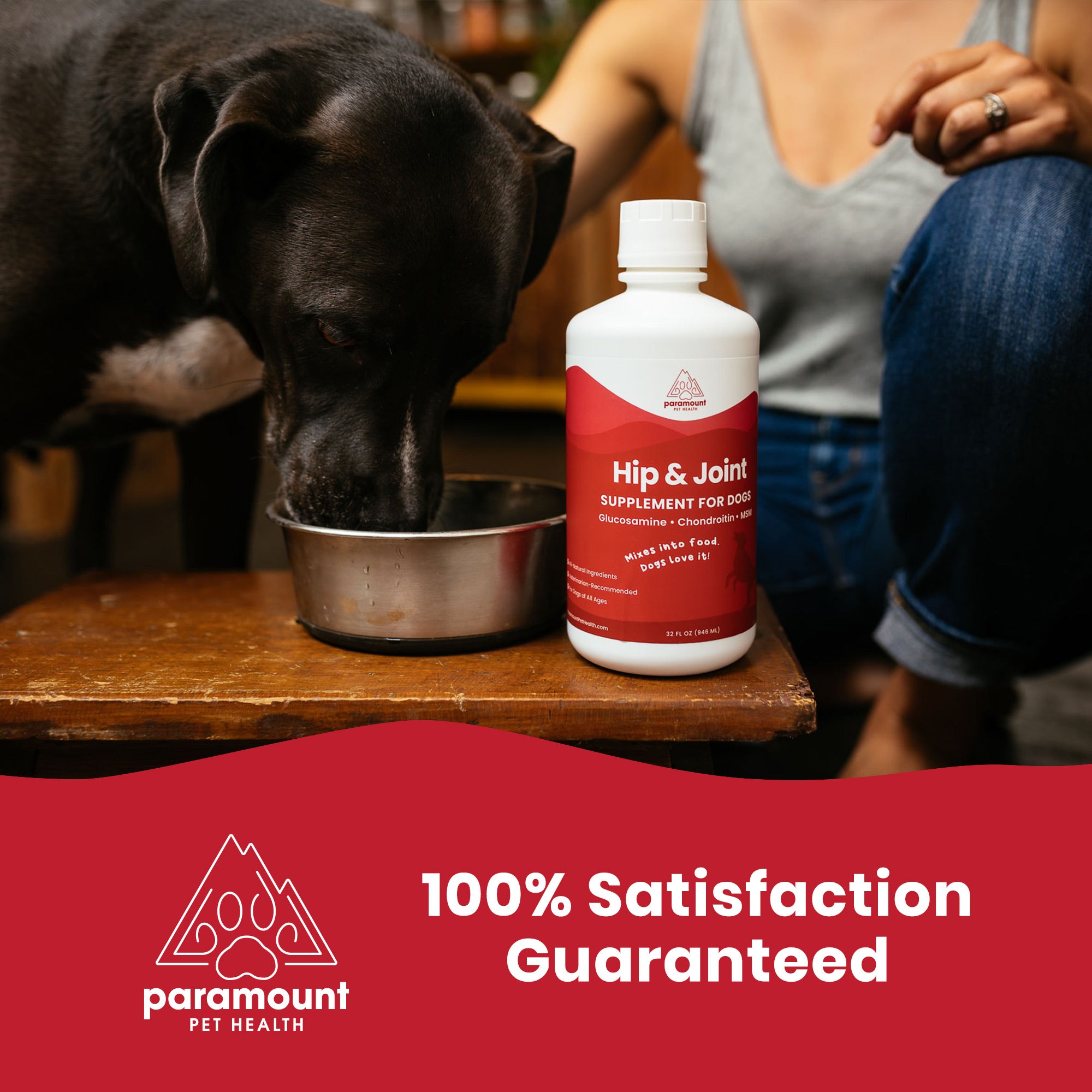 Wild Alaskan Salmon Oil for Cats & Small Dogs — Paramount Pet Health