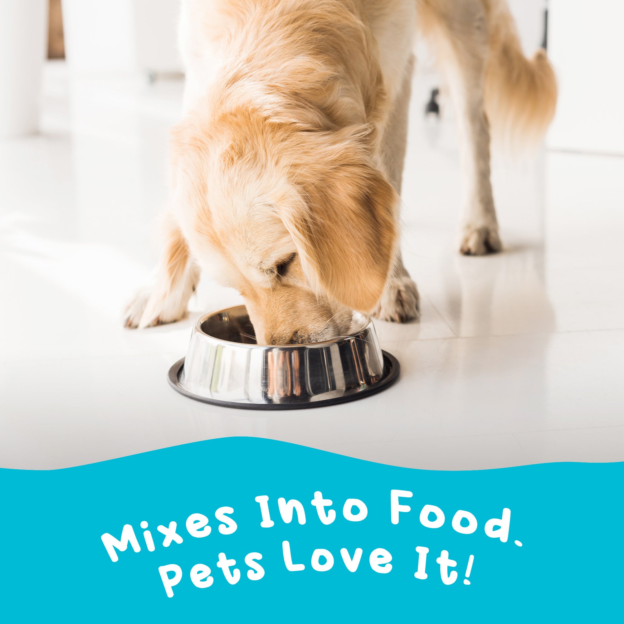 Pets Love Omega-3 for Dogs and Cats