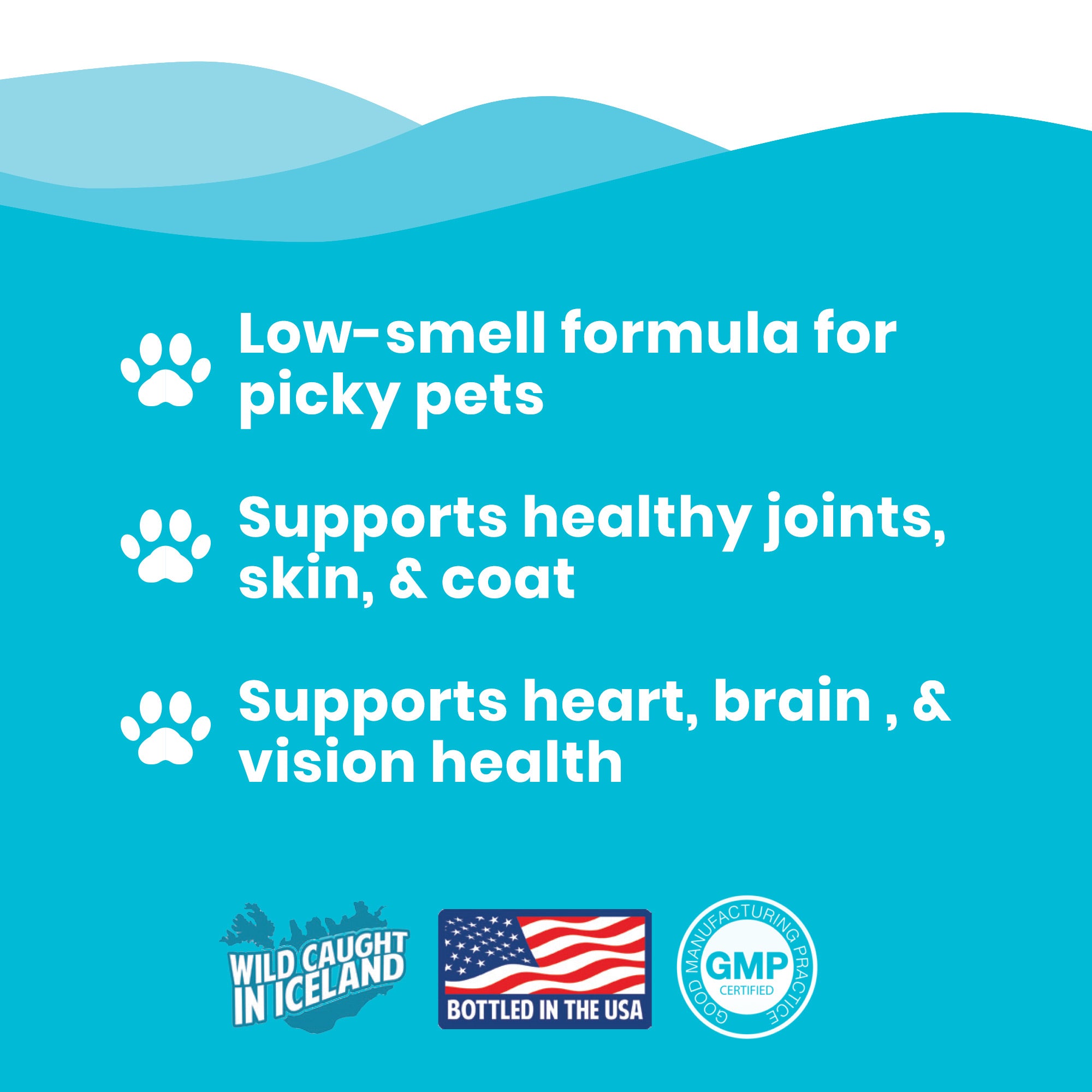 Omega-3 for Dogs and Cats Benefits