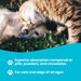 Liquid Omega-3 for Dogs and Cats vs Pills and Powders