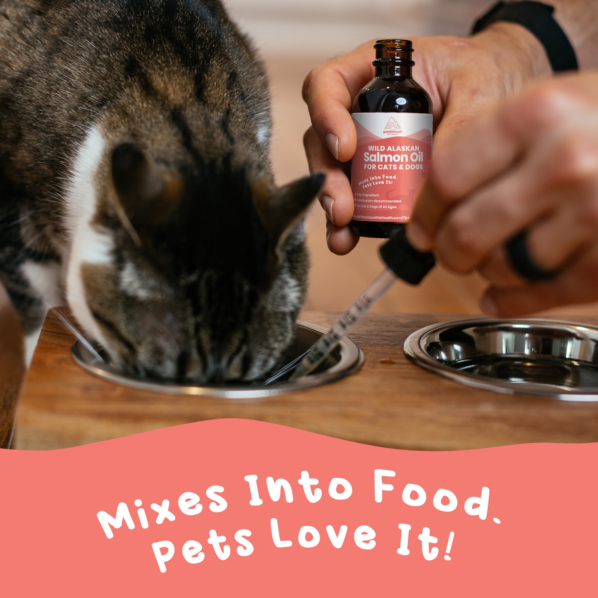 Salmon oil deals for cats