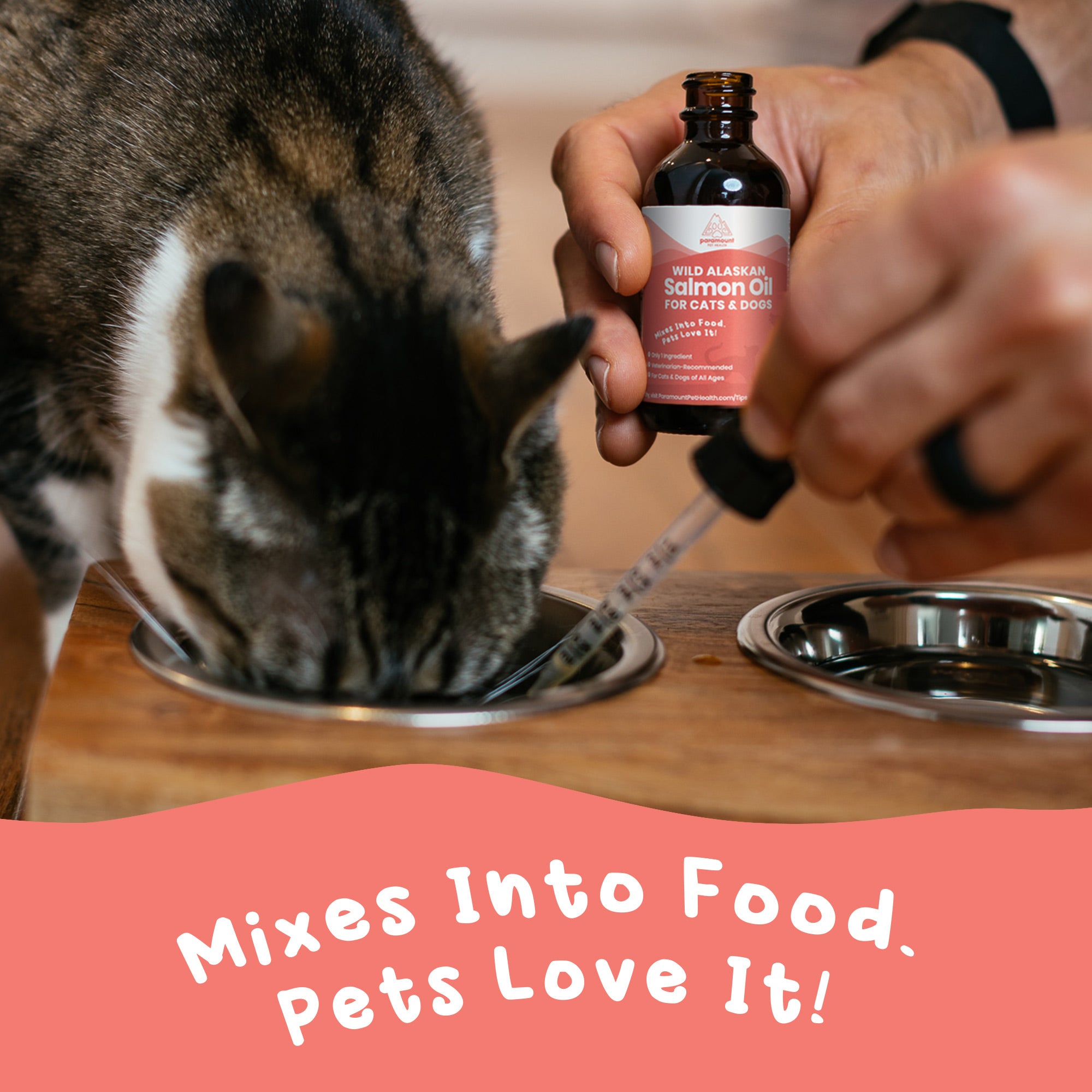 Wild Alaskan Salmon Oil for Cats and Dogs - Mixes Into Food