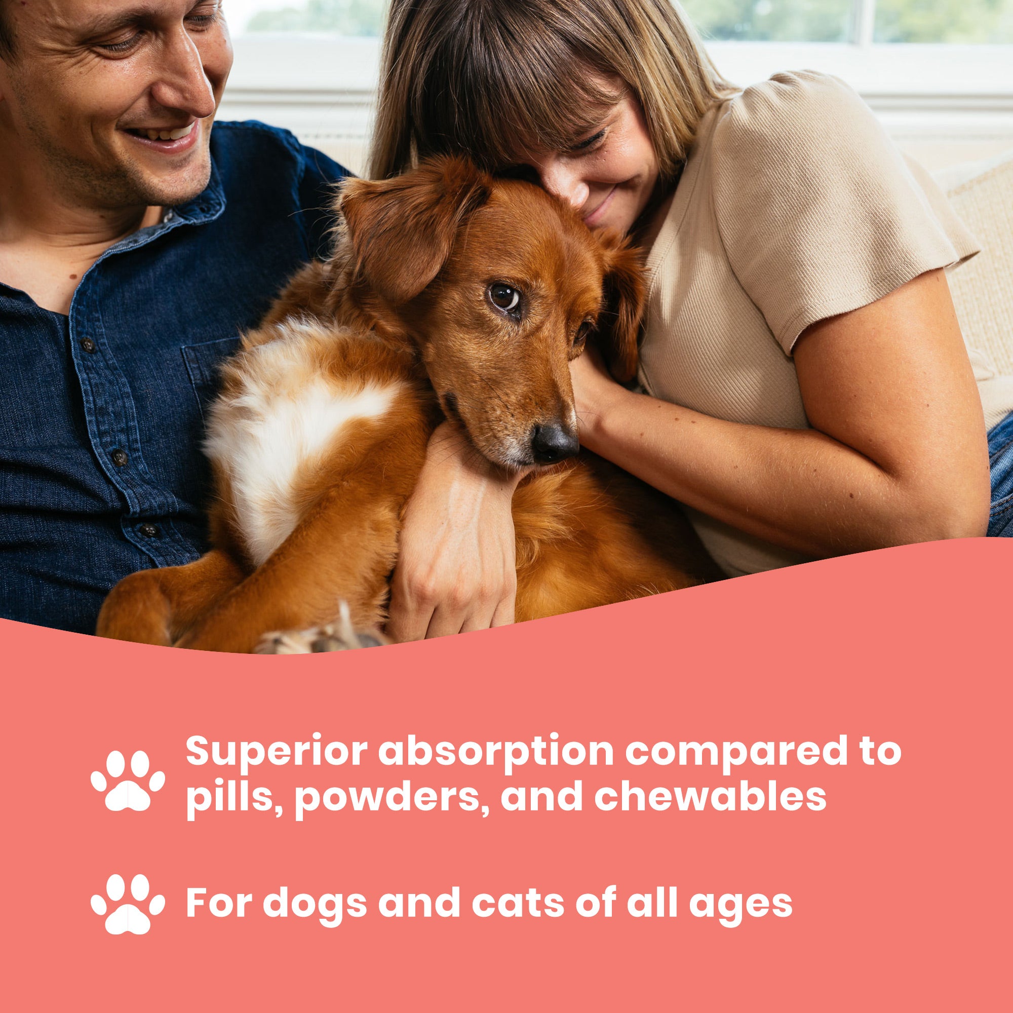 Salmon oil good clearance for dogs